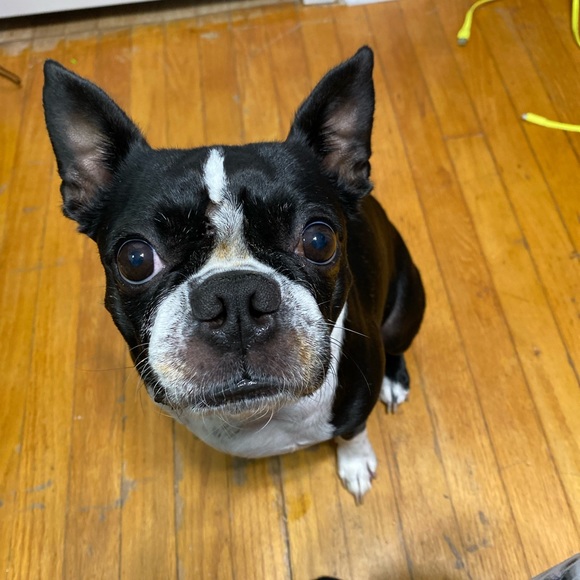 Meet your Posher, Sergio - Picture 1 of 1